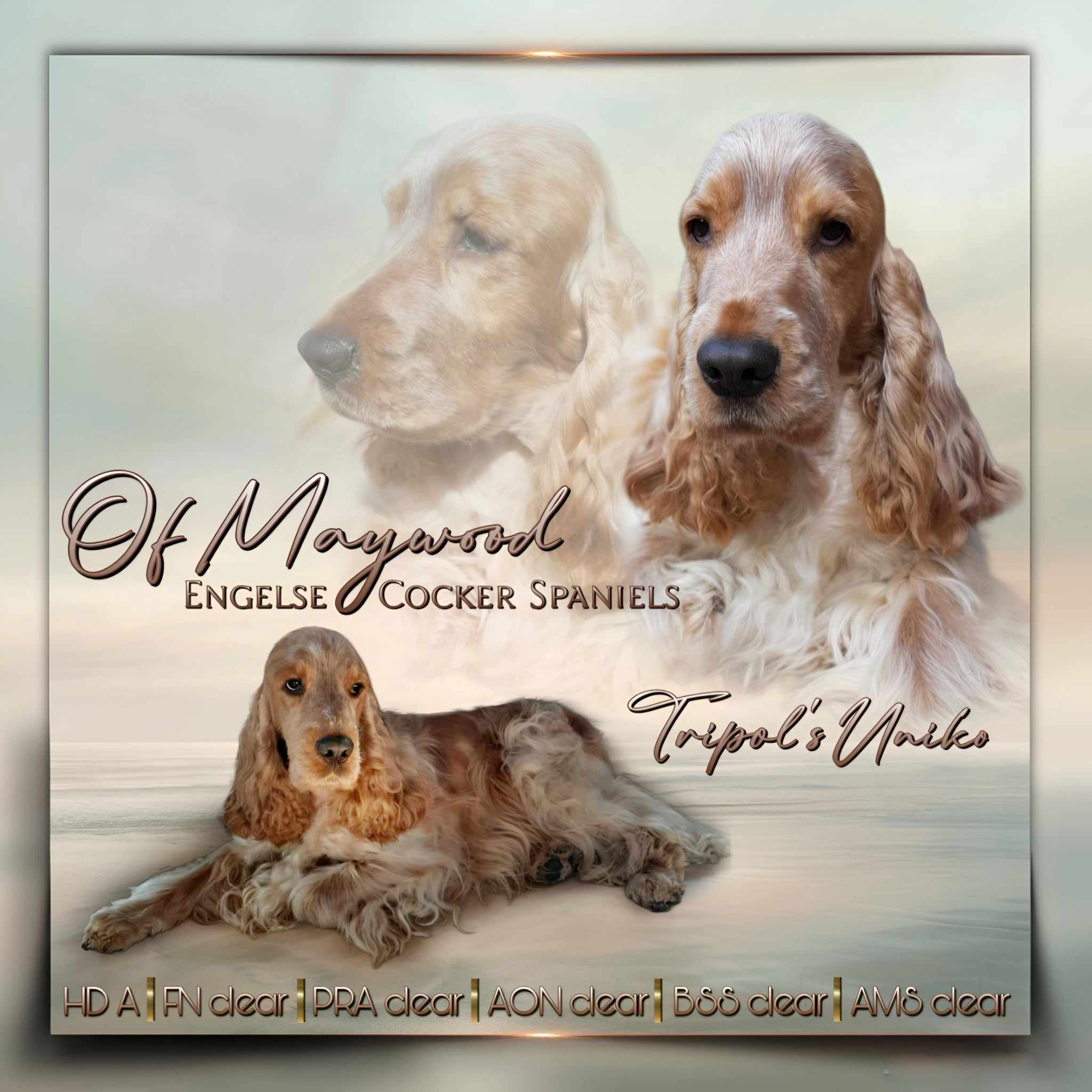 440484093_323222467248021_7823278405788357_n