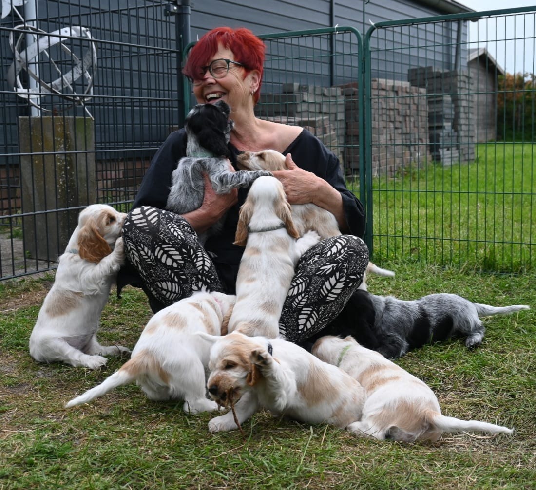 447286657_7786753754772539_2005738697398430485_n