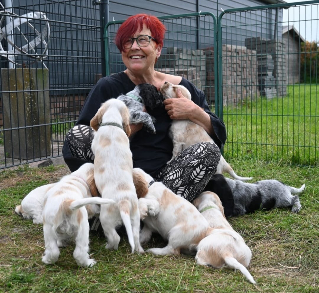 447855695_7786753204772594_3365279317340333192_n